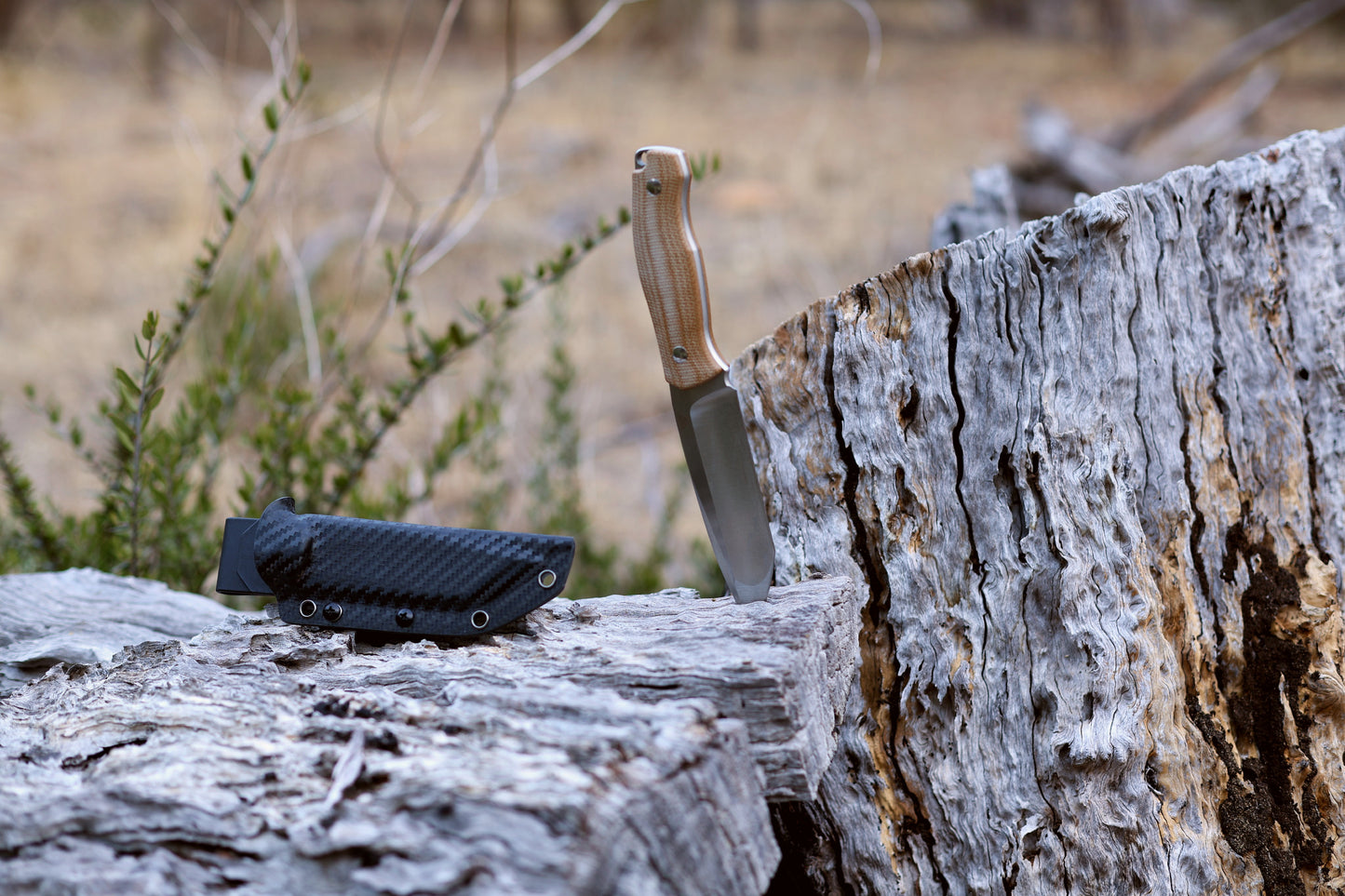 Wilora Crest | Full Tang, Micarta Handle, Kydex Sheath