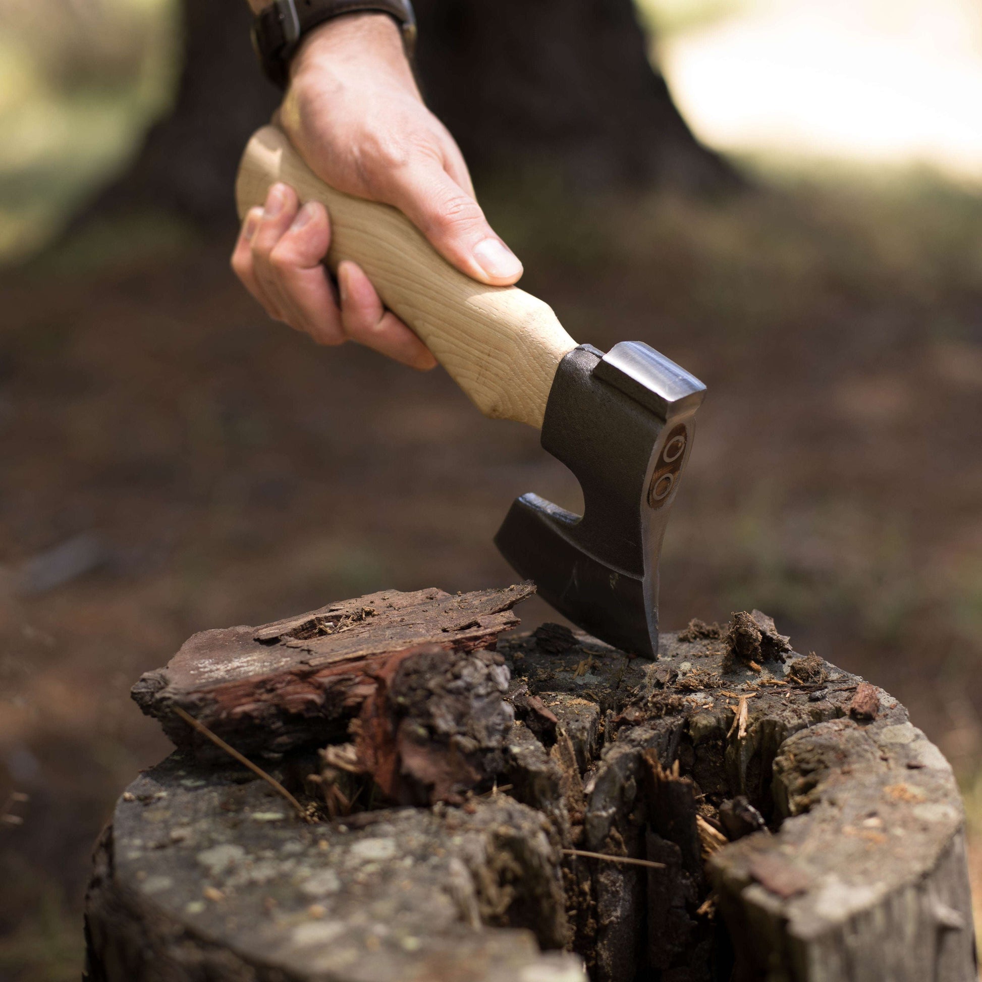 Wilora Compact Hatchet — Hickory, High-Carbon Steel, Hammer Poll