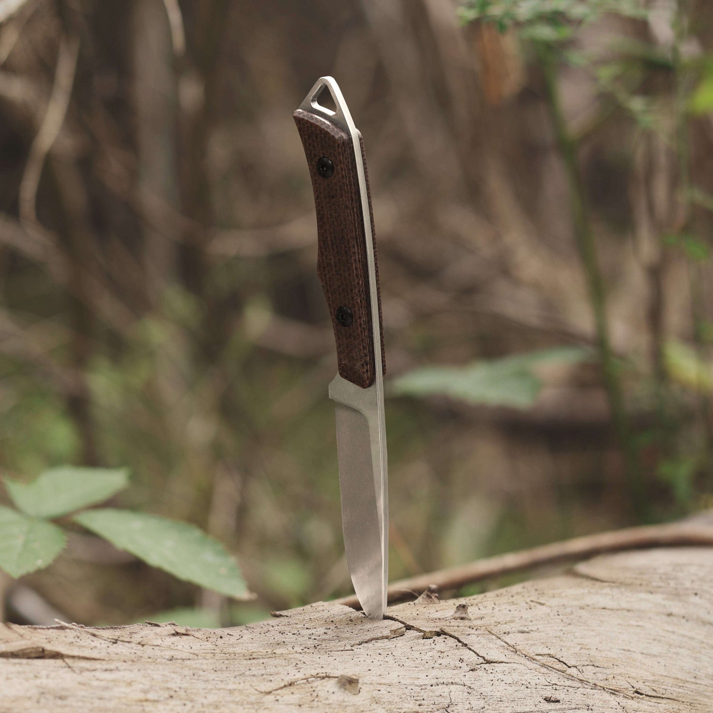 Knife with a wooden handle on a log in a forest setting