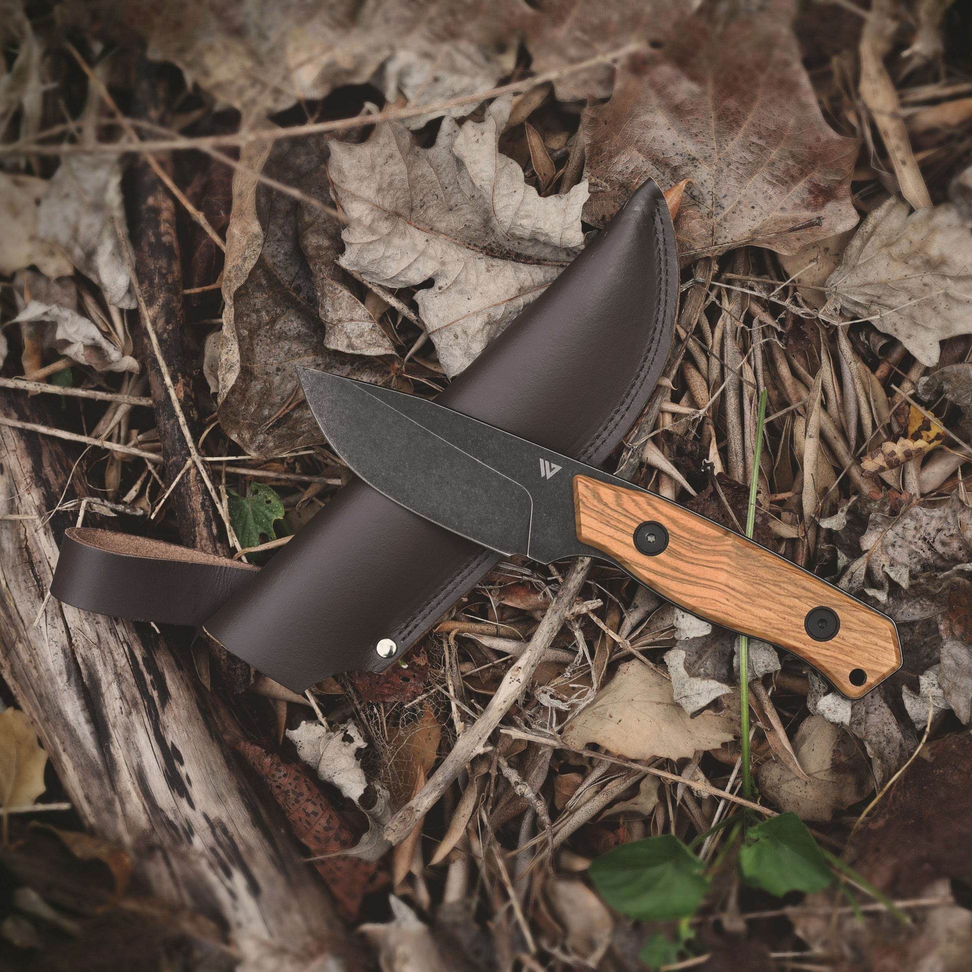 Knife with wooden handle and leather sheath on dry leaves