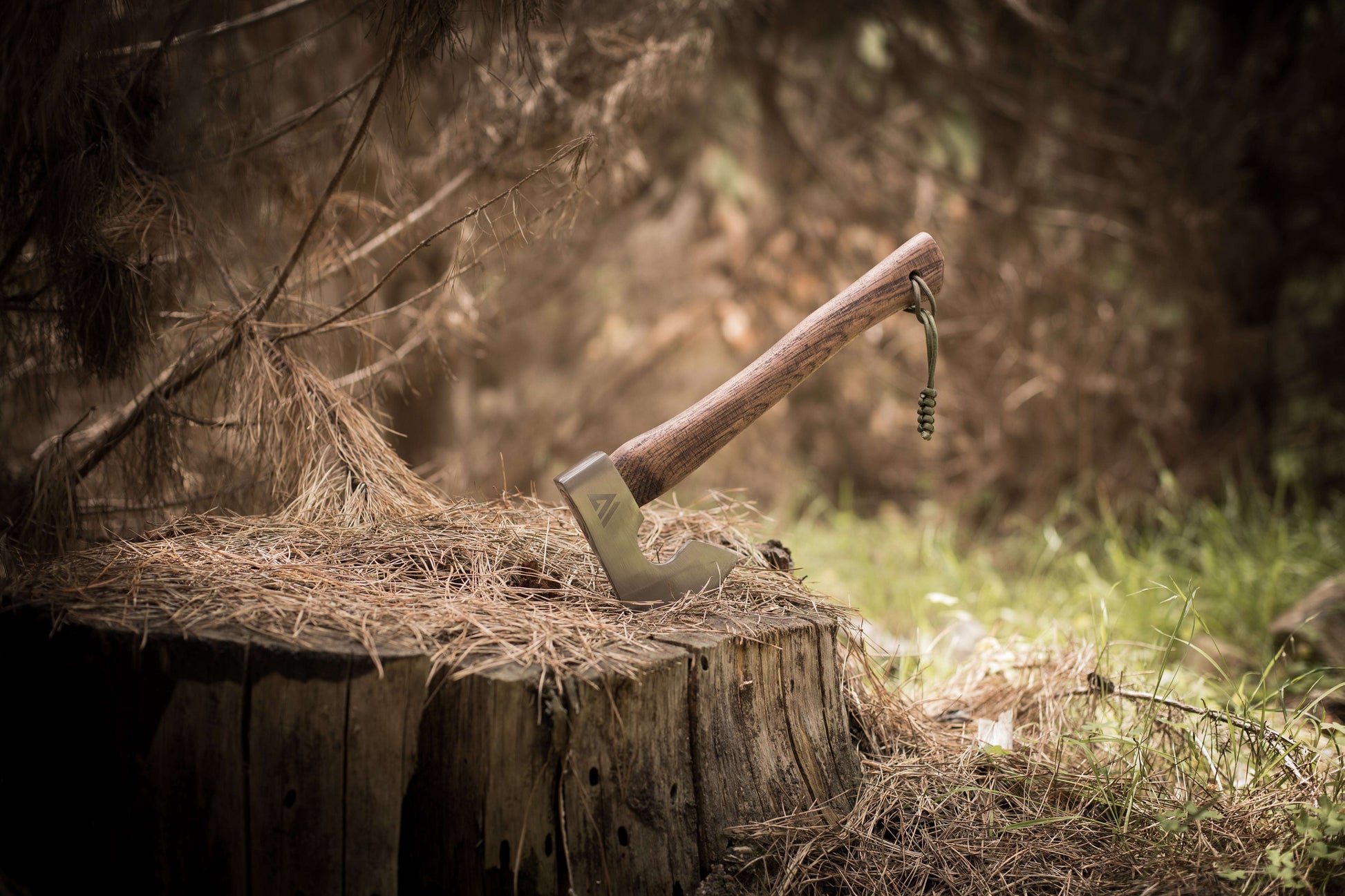 Ax leaning against a tree stump in a forest setting