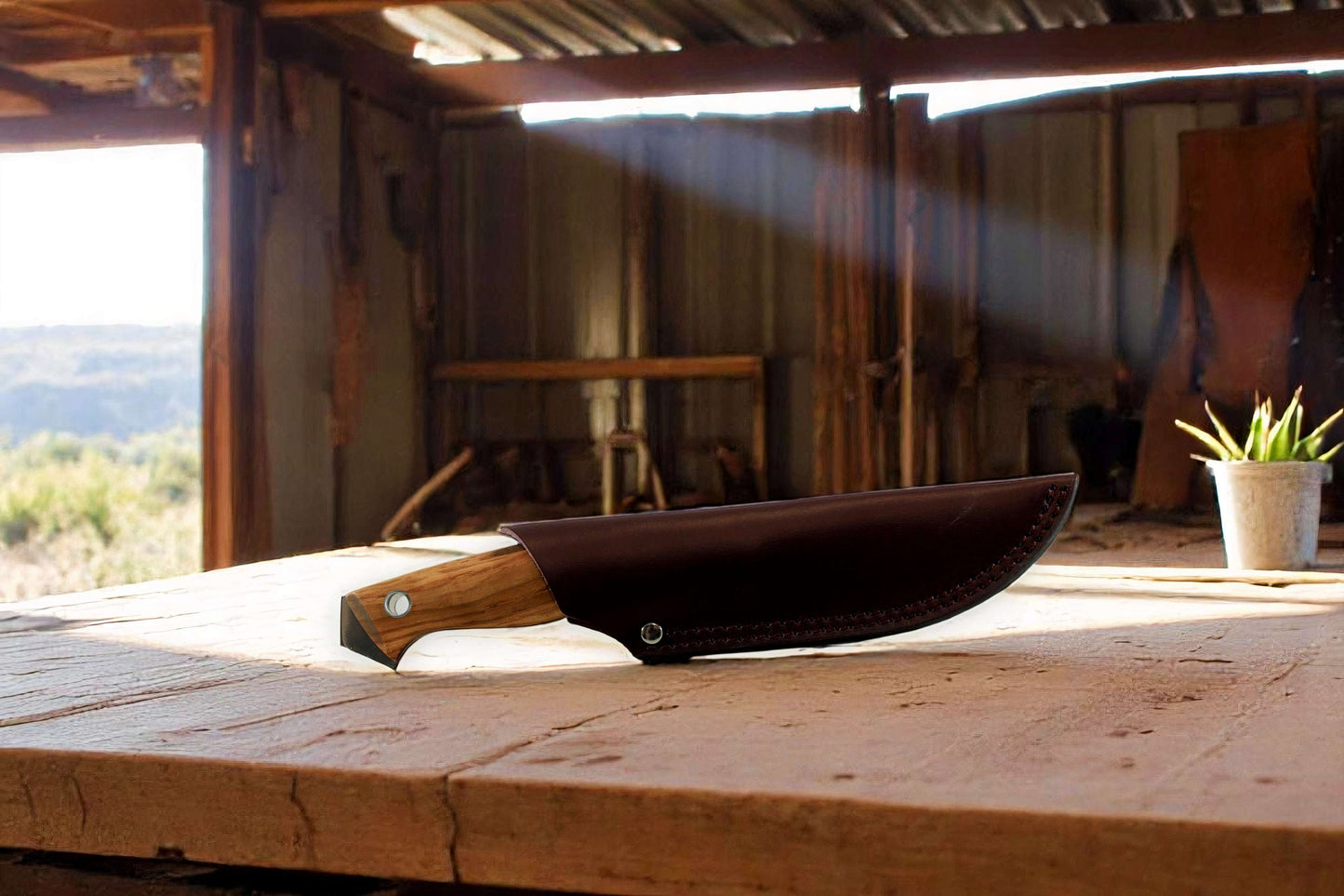 Wilora Brumby outdoor knife with wooden handle and leather sheath
