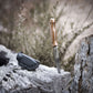 Wilora Crest Hunting knife, with a wooden handle and sheath.